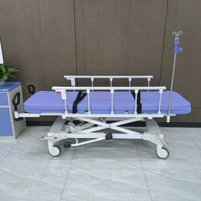 Acceso a las instalaciones sanitarias y hospitalarias