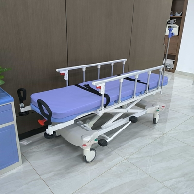 Acceso a las instalaciones sanitarias y hospitalarias